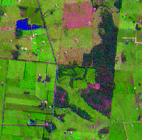 satellite image